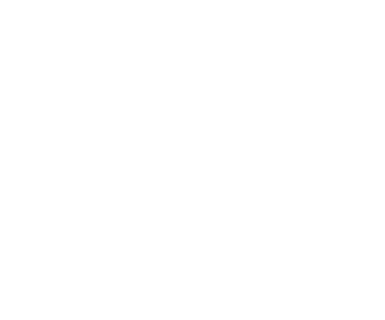 logo-anacofi