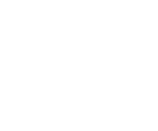 logo-amf